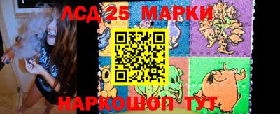 Альфа ПВП Малгобек