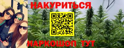 Альфа ПВП Малгобек